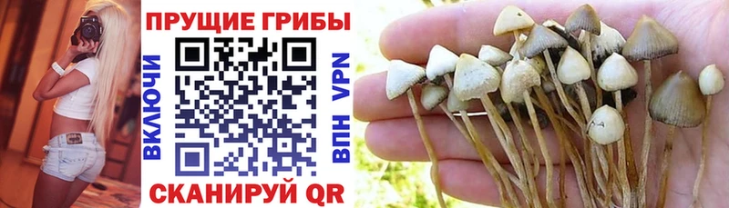 Галлюциногенные грибы MAGIC MUSHROOMS  Купить  Соликамск 